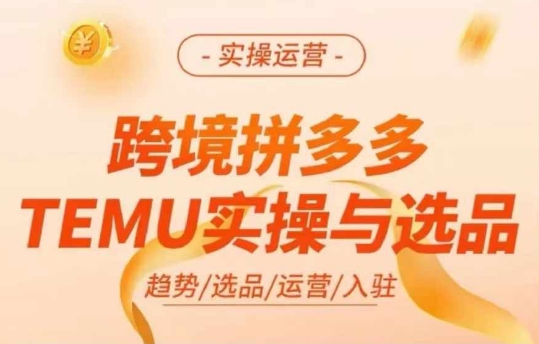 跨境拼多多TEMU实操与选品，多多temu跨境选品运营实操-鼎铸网