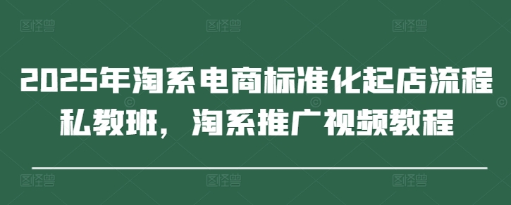 2025年淘系电商标准化起店流程私教班，淘系推广视频教程-鼎铸网