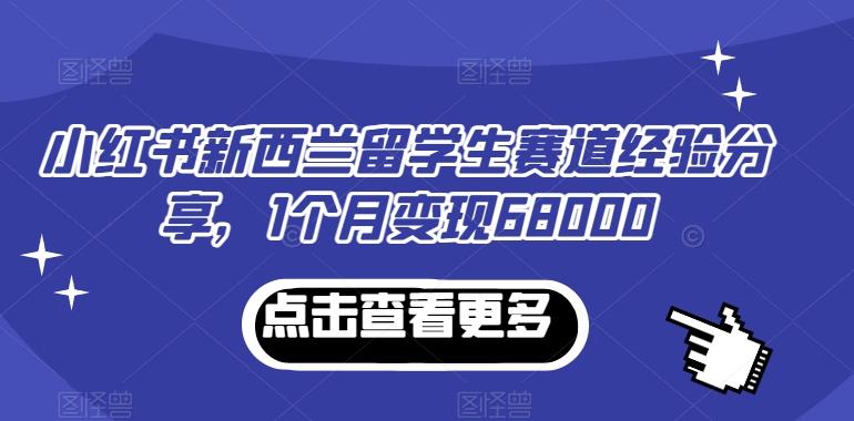 小红书新西兰留学生赛道经验分享，1个月变现68000【揭秘】-鼎铸网
