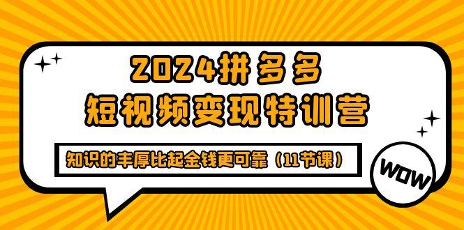 (9817期)2024拼多多短视频变现特训营，知识的丰厚比起金钱更可靠(11节课)-鼎铸网