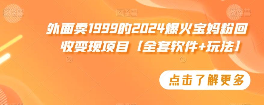 外面卖1999的2024爆火宝妈粉回收变现项目【全套软件+玩法】【揭秘】-鼎铸网