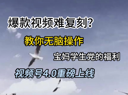 视频号4.0重磅上线，爆款视频难复刻？教你无脑操作宝妈学生党的福利【揭秘】-鼎铸网