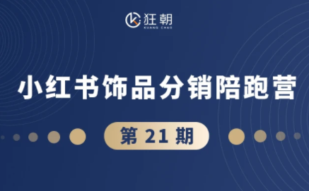 盗坤·抖音小红书视频号短视频带货与直播变现(11-21期)-鼎铸网