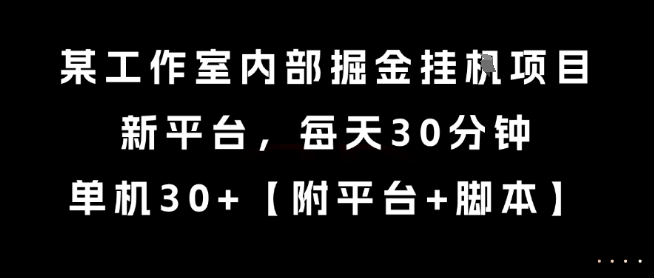 某工作室内部掘金挂G项目，新平台，每天30分钟，单机30+【揭秘】-鼎铸网