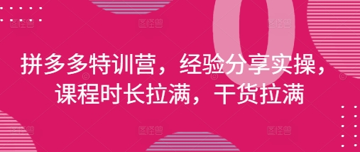 拼多多特训营，经验分享实操，课程时长拉满，干货拉满(更新25年4月)-鼎铸网