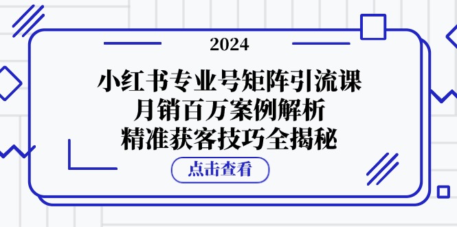 小红书专业号矩阵引流课，月销百万案例解析，精准获客技巧全揭秘-鼎铸网
