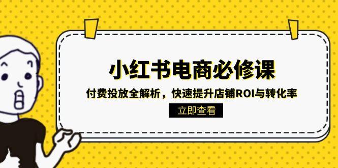 小红书电商必修课：付费投放全解析，快速提升店铺ROI与转化率-鼎铸网