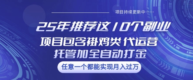 25年推荐这10个副业项目包含褂鸡类、代运营托管类、全自动打金类【揭秘】-鼎铸网