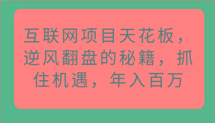 互联网项目天花板，逆风翻盘的秘籍，抓住机遇，年入百万-鼎铸网