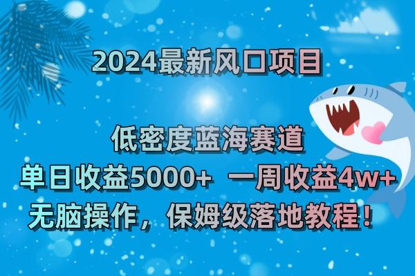 (8545期)2024最新风口项目 低密度蓝海赛道，日收益5000+周收益4w+ 无脑操作，保...-鼎铸网