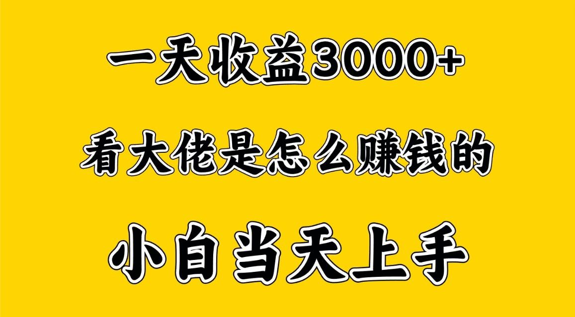 一天赚3000多，大佬是这样赚到钱的，小白当天上手，穷人翻身项目-鼎铸网