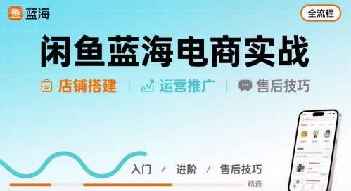 闲鱼蓝海电商实战，店铺搭建运营售后全流程-鼎铸网