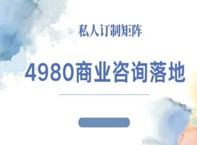 4980商业咨询师落地课程-ip运营高客单教程-鼎铸网