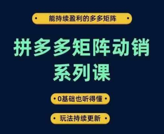 拼多多矩阵动销系列课，能持续盈利的多多矩阵，0基础也听得懂，玩法持续更新-鼎铸网