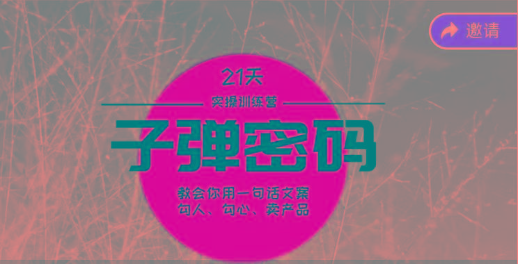 《子弹密码训练营》-用一句话文案勾人勾心卖产品，21天学到顶尖文案大师策略和技巧-鼎铸网