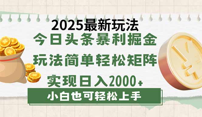 今日头条2025最新玩法，思路简单，复制粘贴，轻松实现矩阵日入2000+-鼎铸网