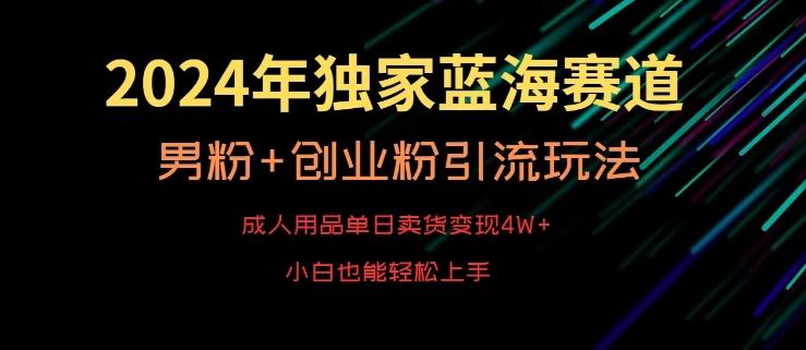 2024年独家蓝海赛道，成人用品单日卖货变现4W+，男粉+创业粉引流玩法，不愁搞不到流量【揭秘】-鼎铸网