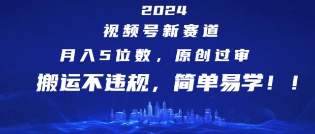 2024视频号新赛道，月入5位数+，原创过审，搬运不违规，简单易学【揭秘】-鼎铸网