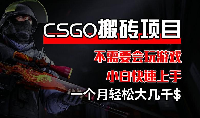 CSGO 装备搬砖项目，操作简单，不需要会玩游戏，小白也能快速上手，一个月轻松大几千【揭秘】-鼎铸网