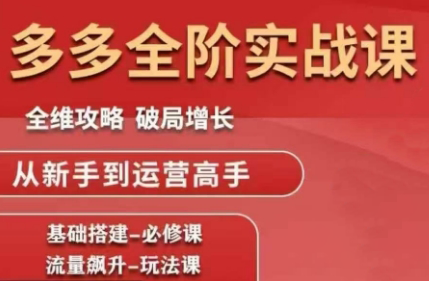 大炮·拼多多全阶实战课程(更新10月)-鼎铸网