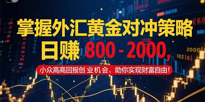 掌握外汇黄金对冲策略，日赚 800 - 2000，小众高回报创业机会，助你实...-鼎铸网