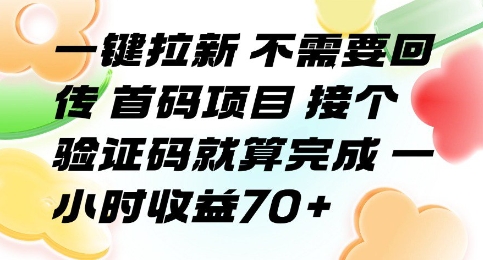 一键拉新 不需要回传 首码项目 接个验证码就算完成 一小时收益70+【揭秘】-鼎铸网