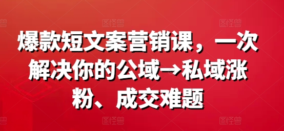 爆款短文案营销课，一次解决你的公域→私域涨粉、成交难题-鼎铸网