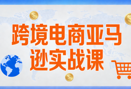 丝丝老师·跨境电商亚马逊实战课(更新2月)-鼎铸网