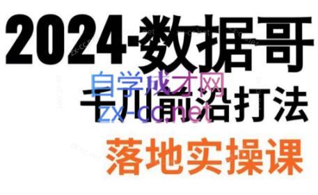 数据哥·2024年千川前沿打法落地实操课-鼎铸网