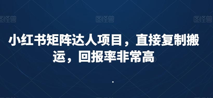 小红书矩阵达人项目，直接复制搬运，回报率非常高-鼎铸网