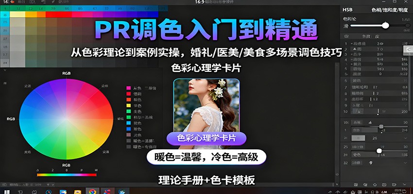 PR调色入门到精通：从色彩理论到案例实操，婚礼/医美/美食多场景调色技巧-鼎铸网