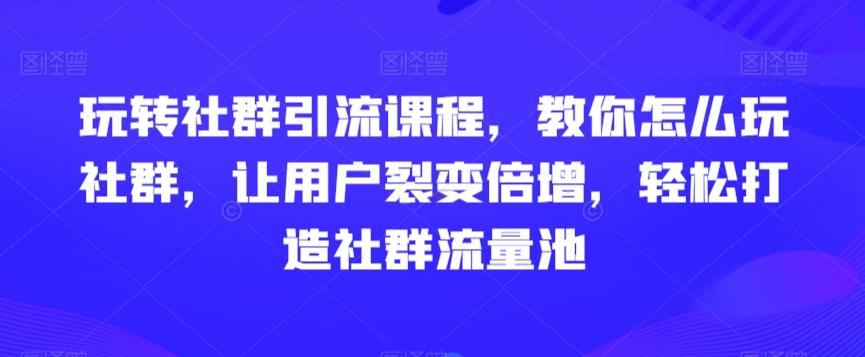 玩转社群引流课程，教你怎么玩社群，让用户裂变倍增，轻松打造社群流量池-鼎铸网