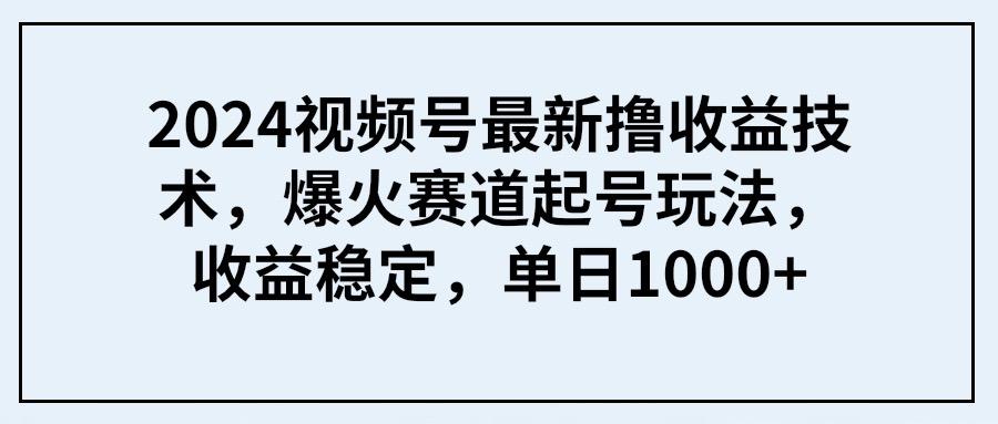 (9651期) 2024视频号最新撸收益技术，爆火赛道起号玩法，收益稳定，单日1000+-鼎铸网