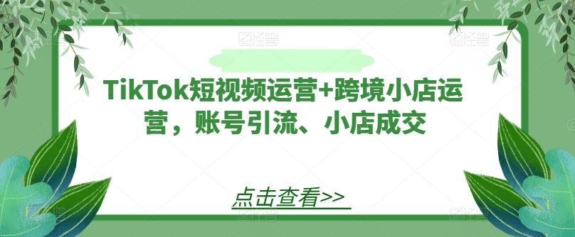TikTok短视频运营+跨境小店运营，账号引流、小店成交-鼎铸网