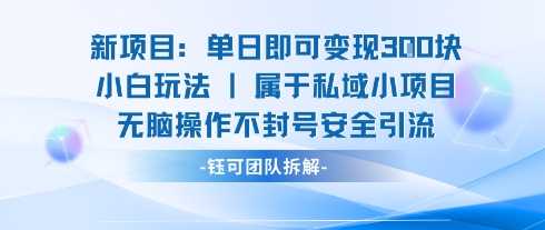 新项目单日即可变现3张的小白玩法无脑操作不封号安全引流-鼎铸网