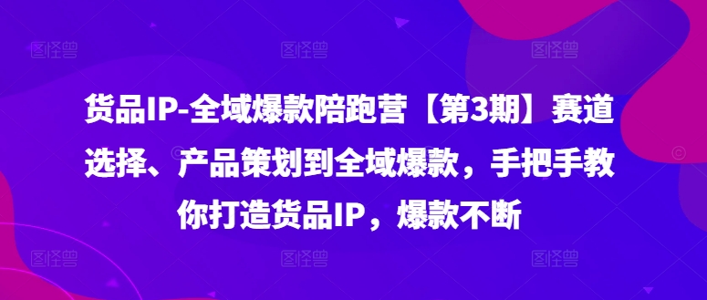 货品IP全域爆款陪跑营【第3期】赛道选择、产品策划到全域爆款，手把手教你打造货品IP，爆款不断-鼎铸网
