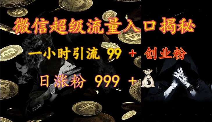 微信超级流量入口揭秘：一小时引流 99 + 创业粉，日涨粉 999 +-鼎铸网