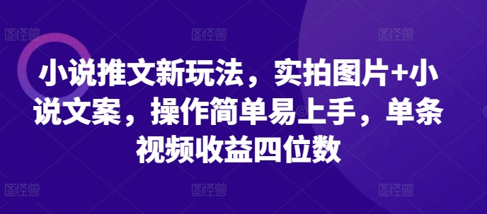 小说推文新玩法，实拍图片+小说文案，操作简单易上手，单条视频收益四位数-鼎铸网