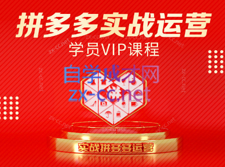 推易电商·拼多多实战运营课(更新2025月)-鼎铸网