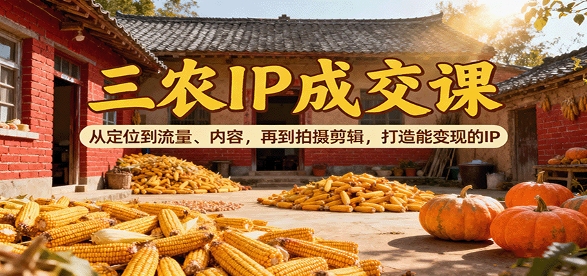 三农IP成交课：从定位到流量、内容，再到拍摄剪辑，打造能变现的IP-鼎铸网