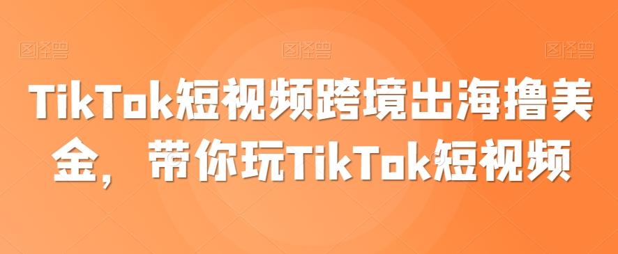 TikTok短视频跨境出海撸美金，带你玩TikTok短视频-鼎铸网