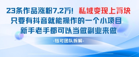 抖音私域项目23条作品涨粉7.2W，私域变现1W-鼎铸网