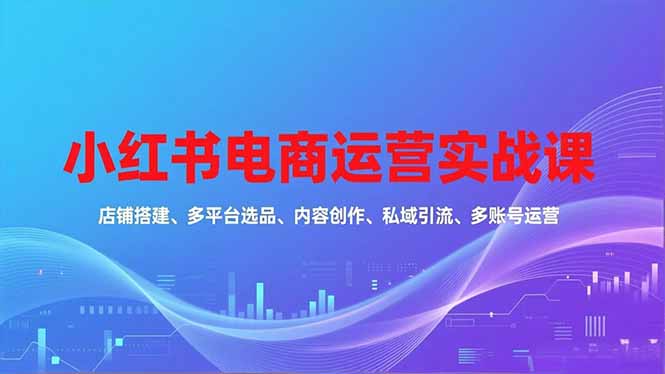 小红书电商运营实战课，店铺搭建、多平台选品、内容创作、私域引流、多账号运营等玩法-鼎铸网