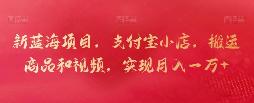 新蓝海项目，支付宝小店，搬运商品和视频，实现月入一万+【揭秘】-鼎铸网
