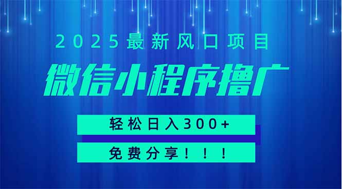 微信小程序撸广，最新风口项目，日入300+ 免费分享 可批量操作 小白可...-鼎铸网