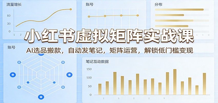小红书虚拟矩阵实战课：AI选品搬款，自动发笔记，矩阵运营，解锁低门槛变现-鼎铸网