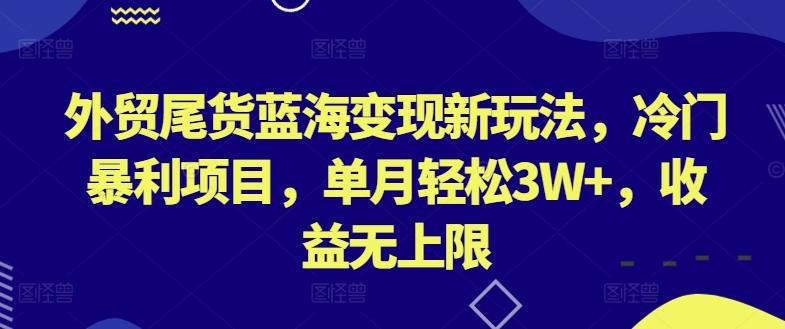 外贸尾货蓝海变现新玩法，冷门暴利项目，单月轻松3W+，收益无上限【揭秘】-鼎铸网