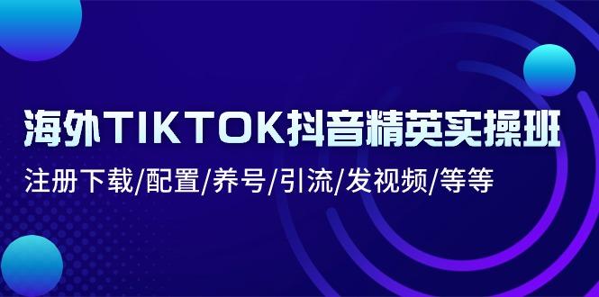 海外TIKTOK抖音精英实操班：注册下载/配置/养号/引流/发视频/等等-鼎铸网