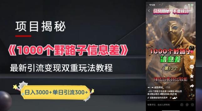 一千个野路子信息差最新玩法教程-变现+引流的玩法具体拆解【揭秘】-鼎铸网