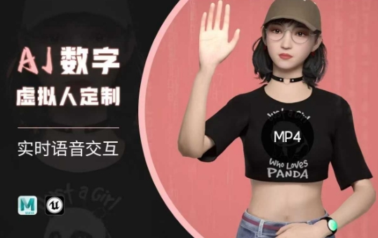 Ai数字人虚拟(智能体)实时语音交互特训营，​自行定制超写实角色AI数字人交互技术-鼎铸网